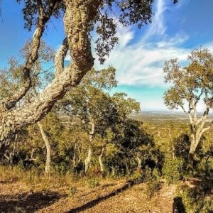 pano_20171027_160936.1140x400